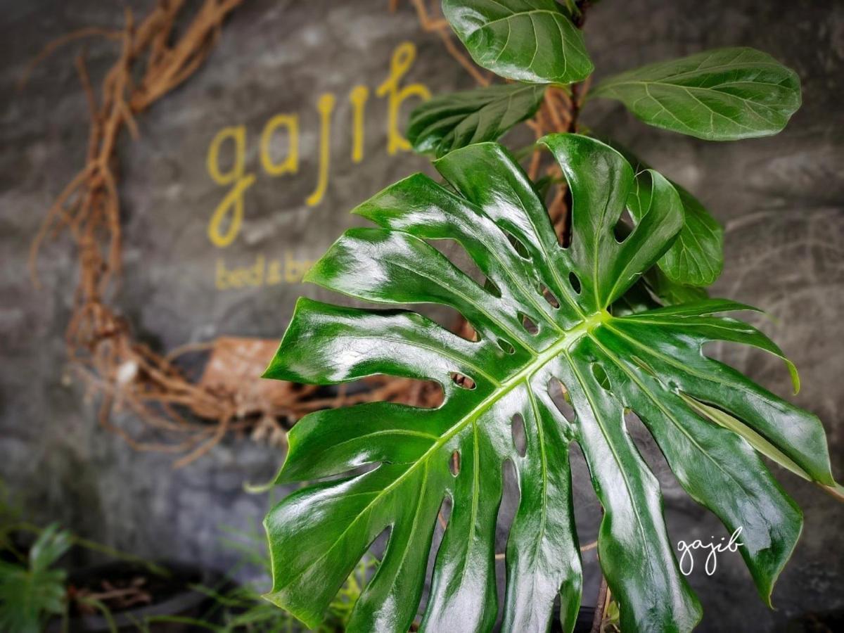 Gajib Bed&Breakfast Amphawa Ngoại thất bức ảnh