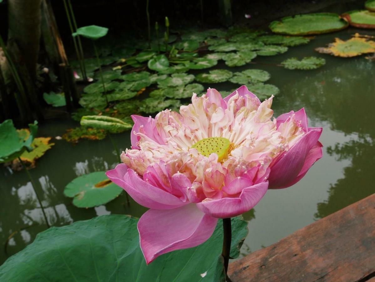 Gajib Bed&Breakfast Amphawa Ngoại thất bức ảnh